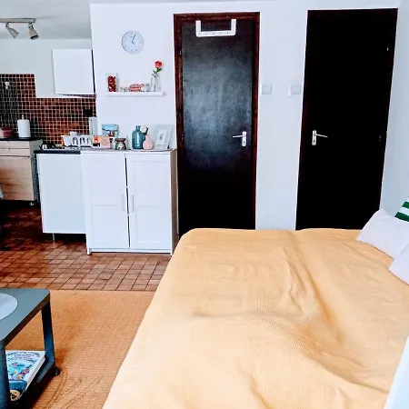 Nardus Vendeghaz Holiday home Velence
