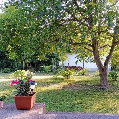 Nardus Vendeghaz Holiday home Velence